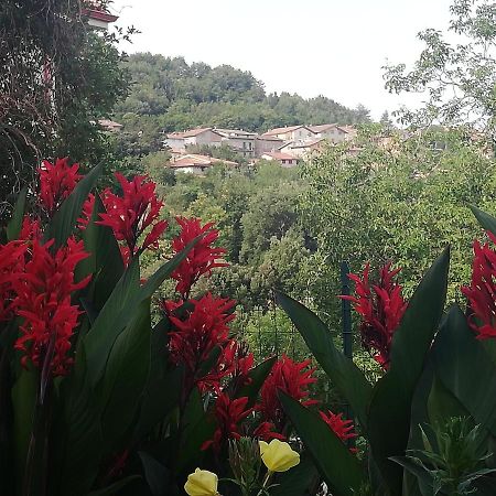Agrifoglio B&B Con Giardino 아리초 외부 사진