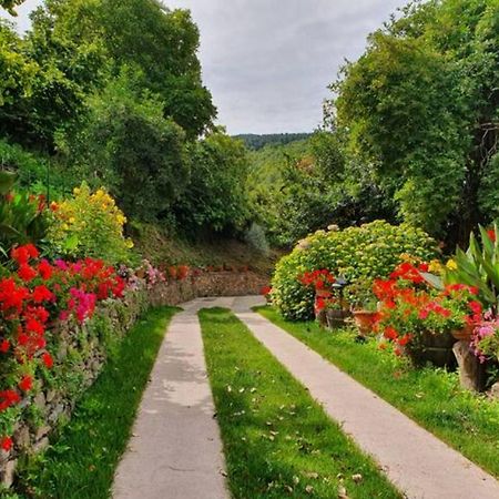 Agrifoglio B&B Con Giardino 아리초 외부 사진