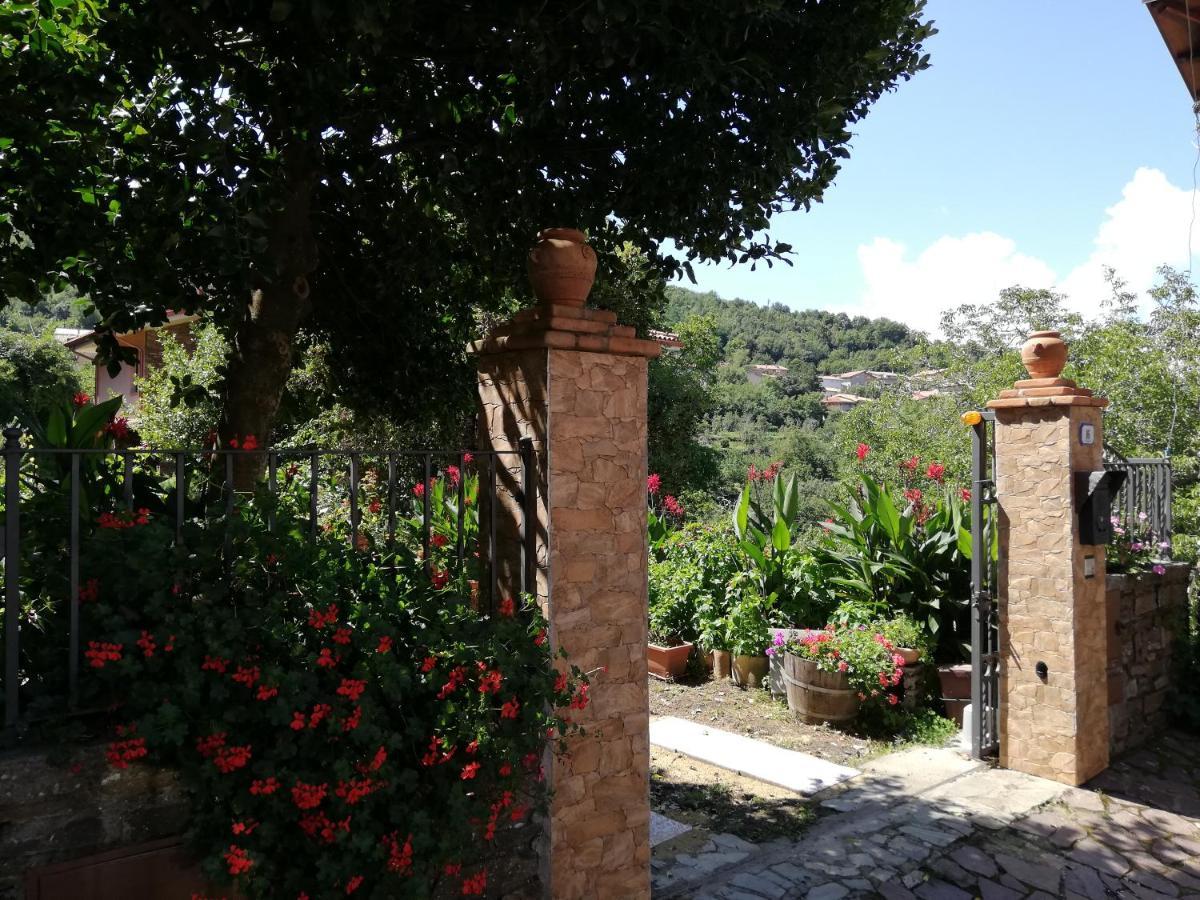 Agrifoglio B&B Con Giardino 아리초 외부 사진