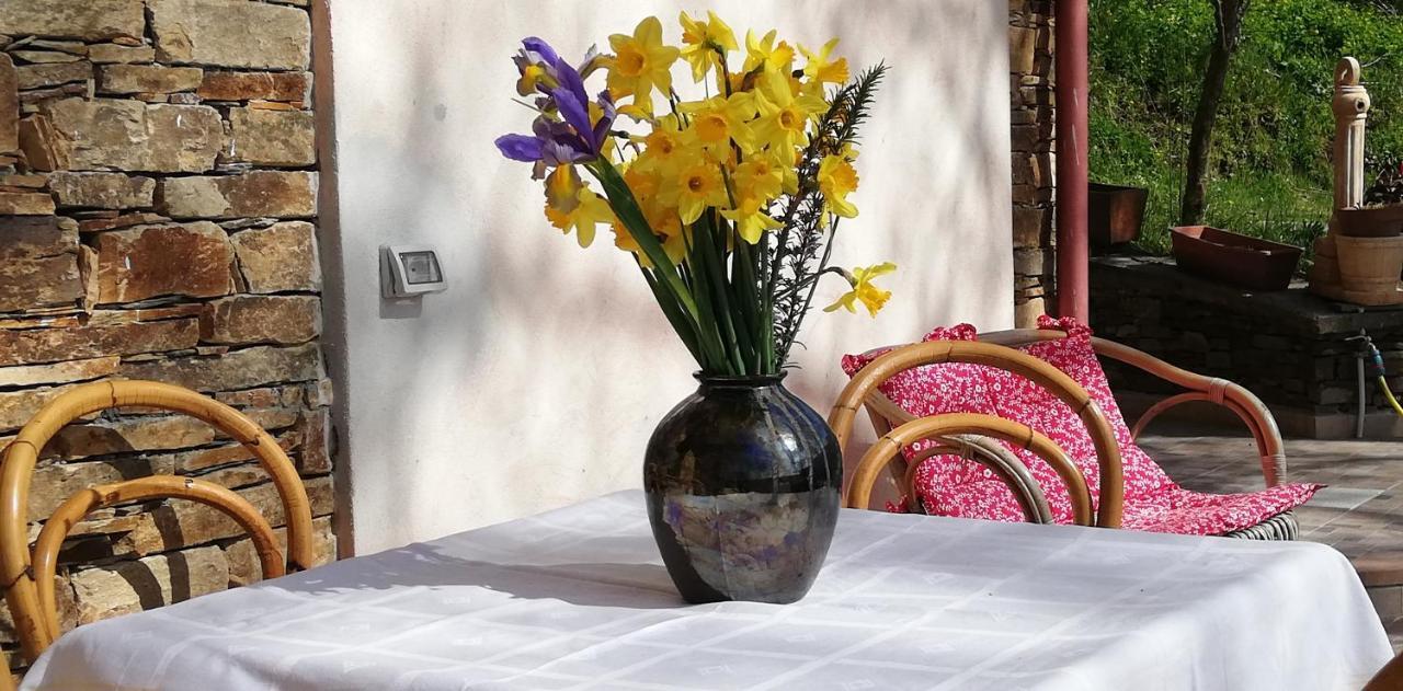 Agrifoglio B&B Con Giardino 아리초 외부 사진