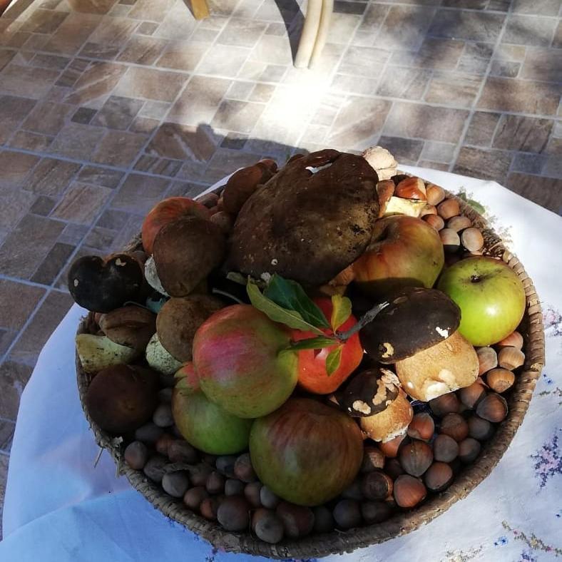 Agrifoglio B&B Con Giardino 아리초 외부 사진