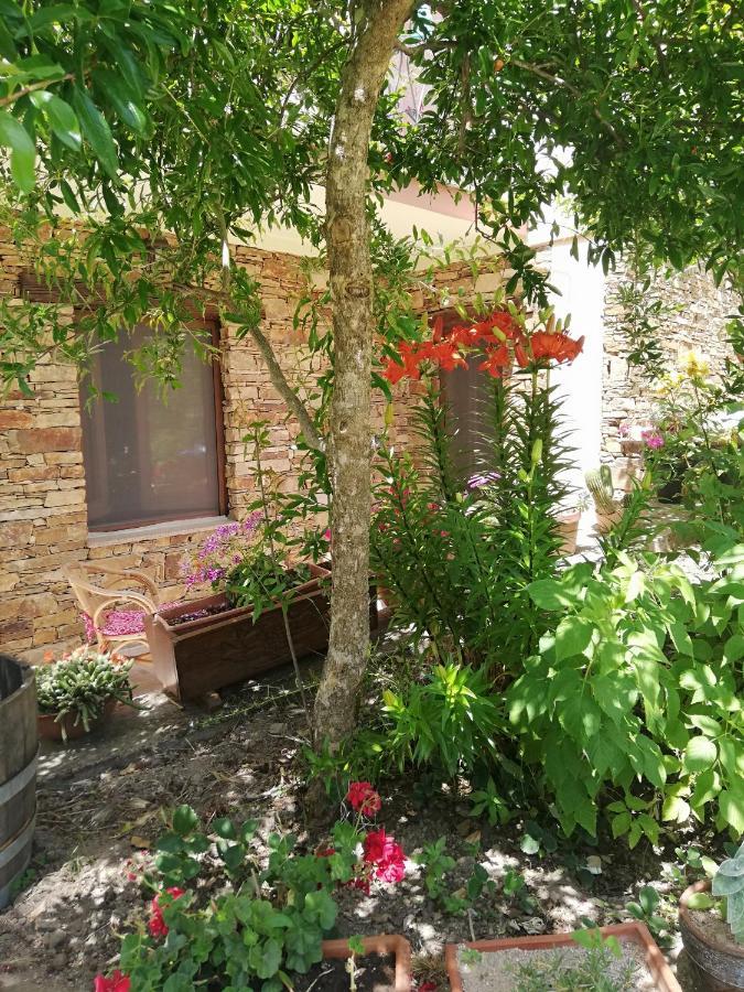 Agrifoglio B&B Con Giardino 아리초 외부 사진