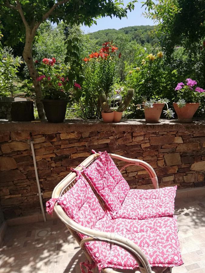 Agrifoglio B&B Con Giardino 아리초 외부 사진