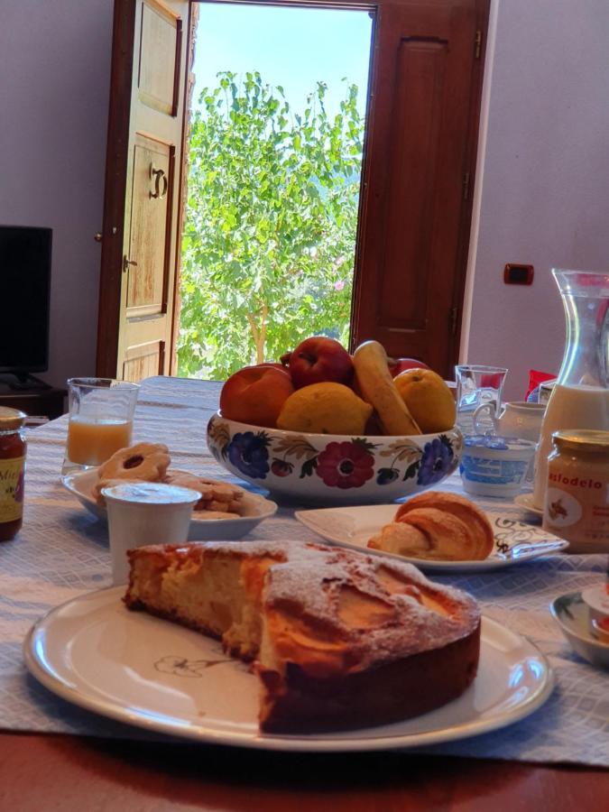 Agrifoglio B&B Con Giardino 아리초 외부 사진