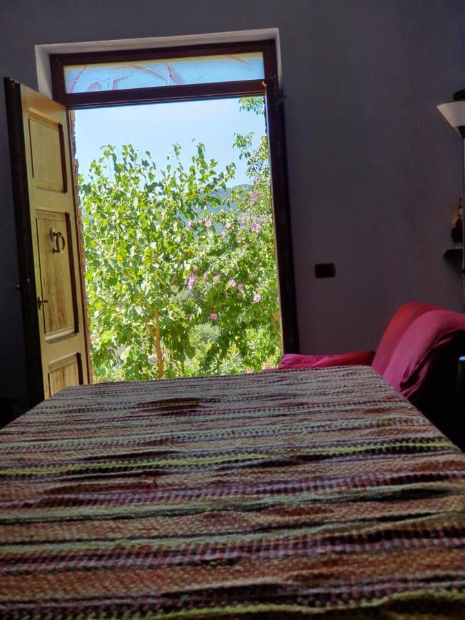 Agrifoglio B&B Con Giardino 아리초 외부 사진