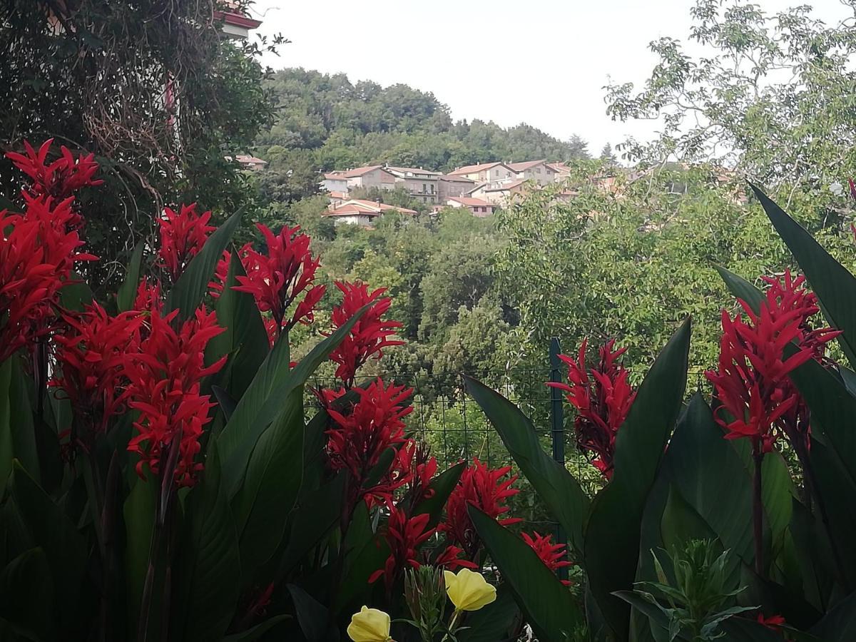 Agrifoglio B&B Con Giardino 아리초 외부 사진