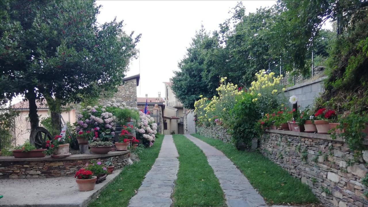 Agrifoglio B&B Con Giardino 아리초 외부 사진
