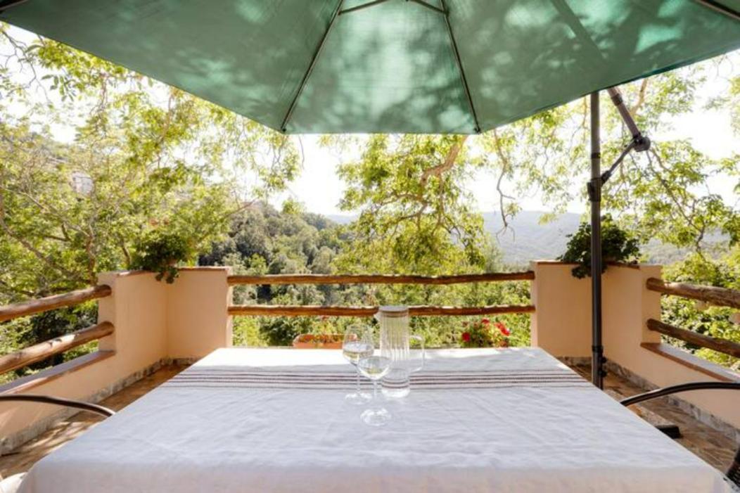 Agrifoglio B&B Con Giardino 아리초 외부 사진