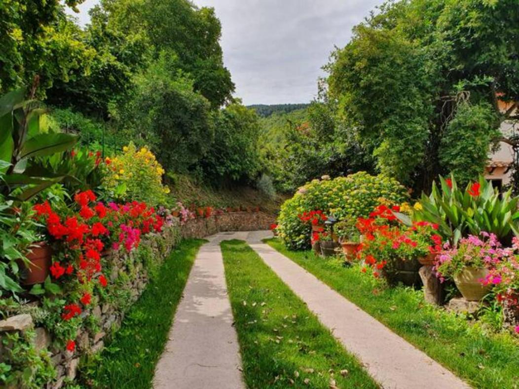Agrifoglio B&B Con Giardino 아리초 외부 사진